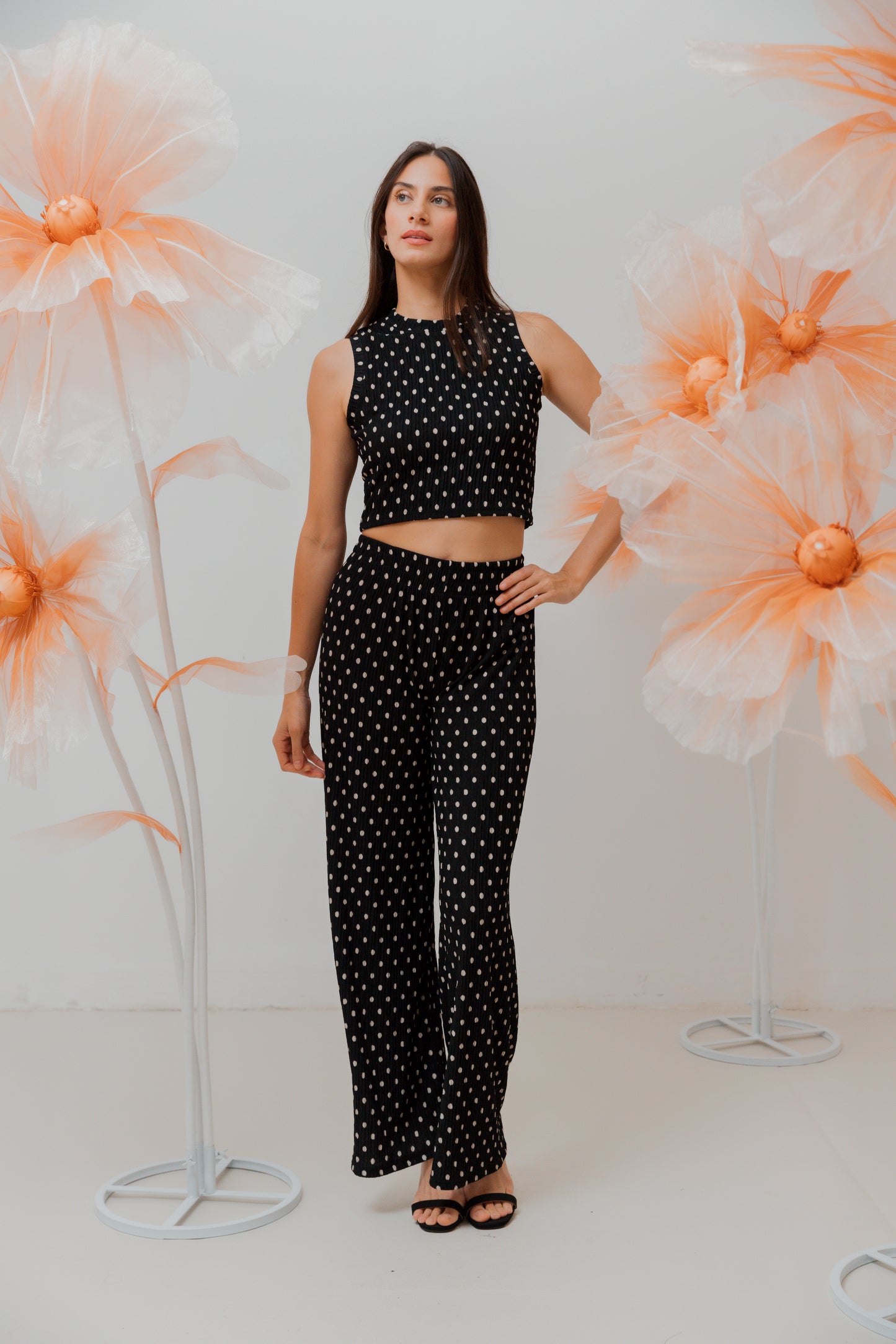 Conjunto Dots