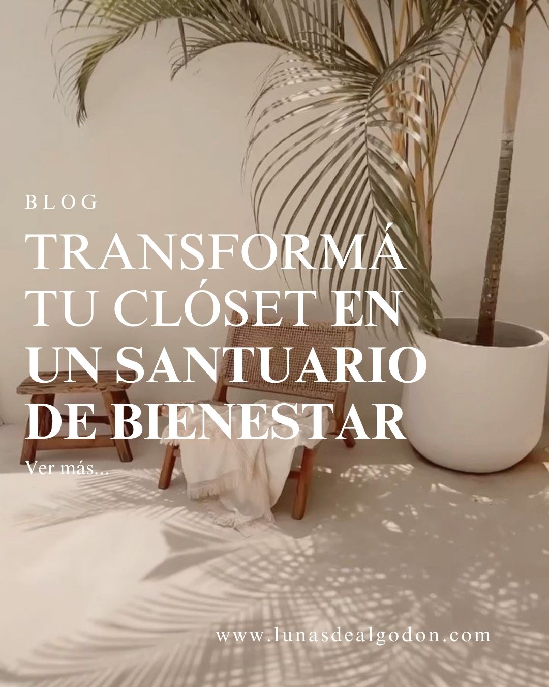 Transformá Tu Clóset en un Santuario de Bienestar